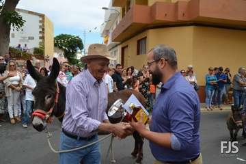 Misa, desfile del ganado y procesión religiosa en el Valle de los Nueve de Telde (Foto Francisco Javier Santana)